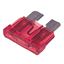 0257010.PXPV Littelfuse