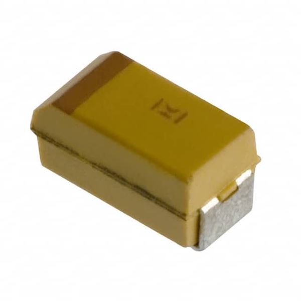 B45196H2106K109 KEMET Corporation