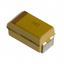 B45196H2106K109 KEMET Corporation