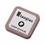 CGGP.25.4.A.02 Taoglas